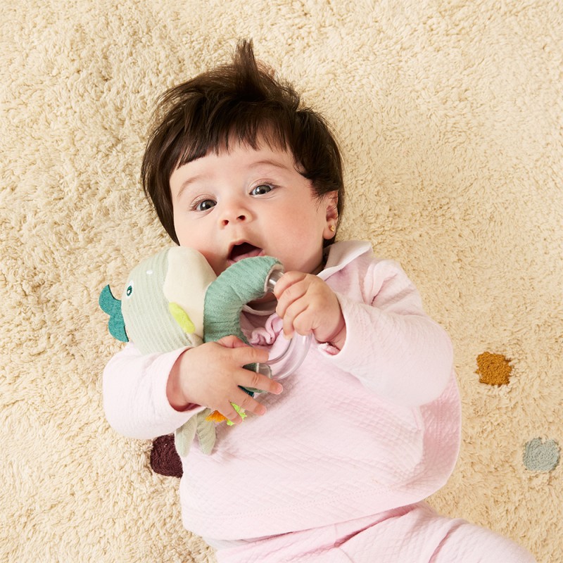 MINILAND ΚΟΥΔΟΥΝΙΣΤΡΑ - BABY SEA RATTLE